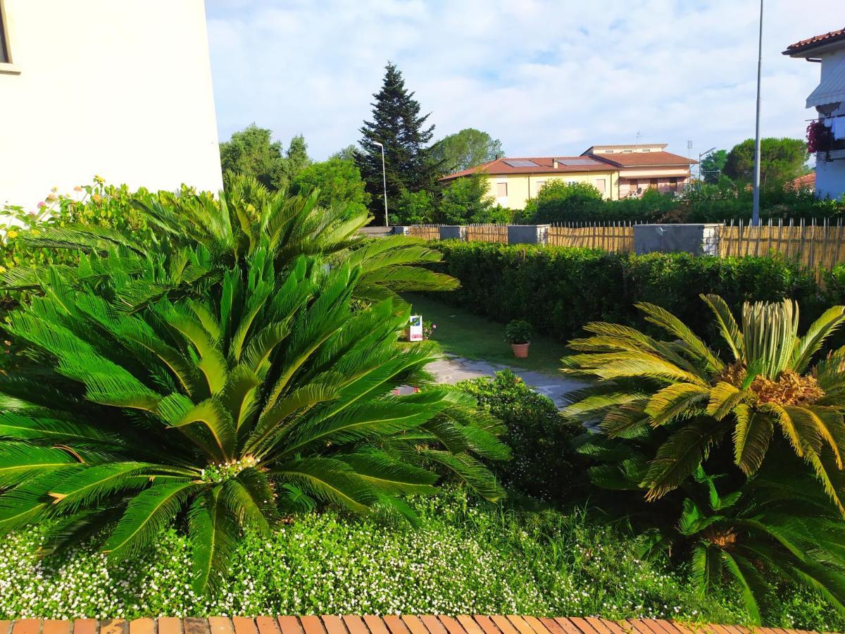 B&B Tra Mare E Marmo 马瑞纳迪卡拉拉 外观 照片